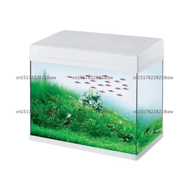 Aquarium Fish Glass - Aquário de Vidro Mini para Mesa,