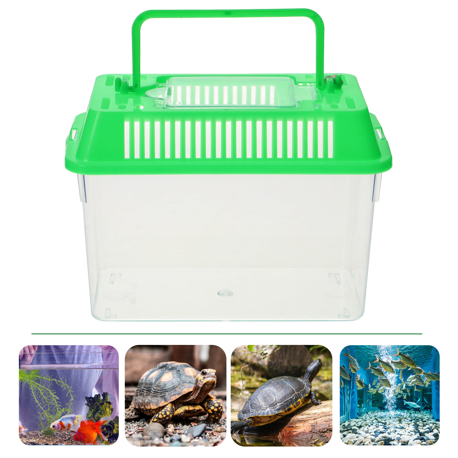 Aquarium Fish Green - Aquário Mini Portátil de Plástico Transparente