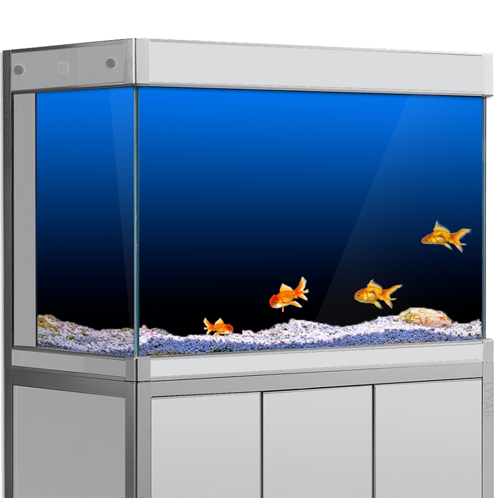Aquarium Fish Green - Adesivo de fundo para tanque de