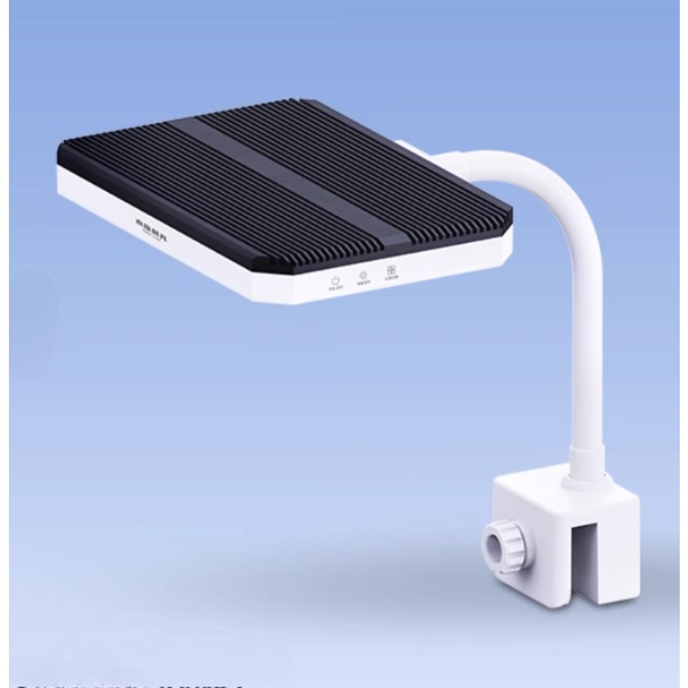 Aquarium Fish Colorful - Netlea tempo aquático mini aquário led