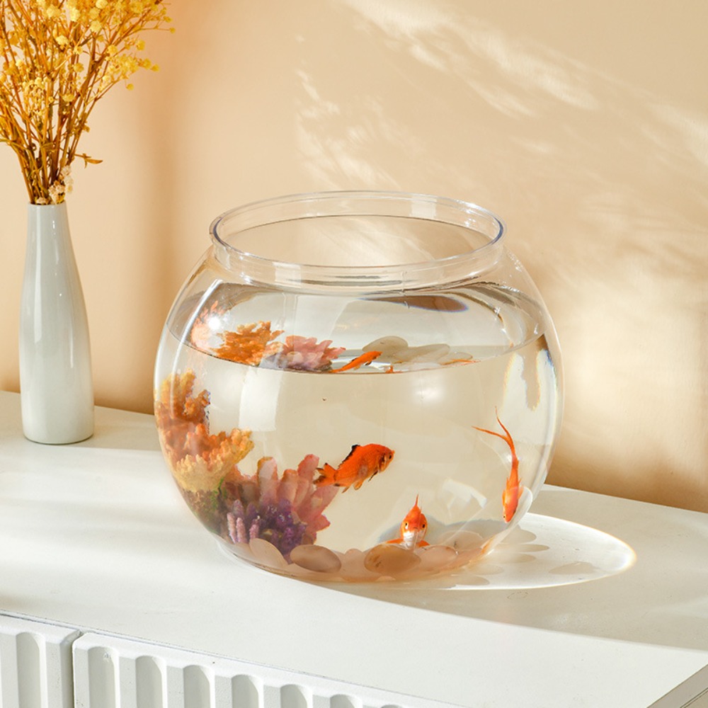 Aquário de mesa transparente e - Aquarium Fish Live avaliação e preço