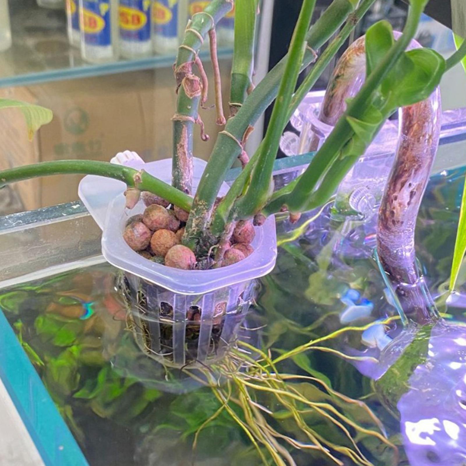 Suporte para plantas hidropôni - Aquarium Fish Elevator avaliação e preço