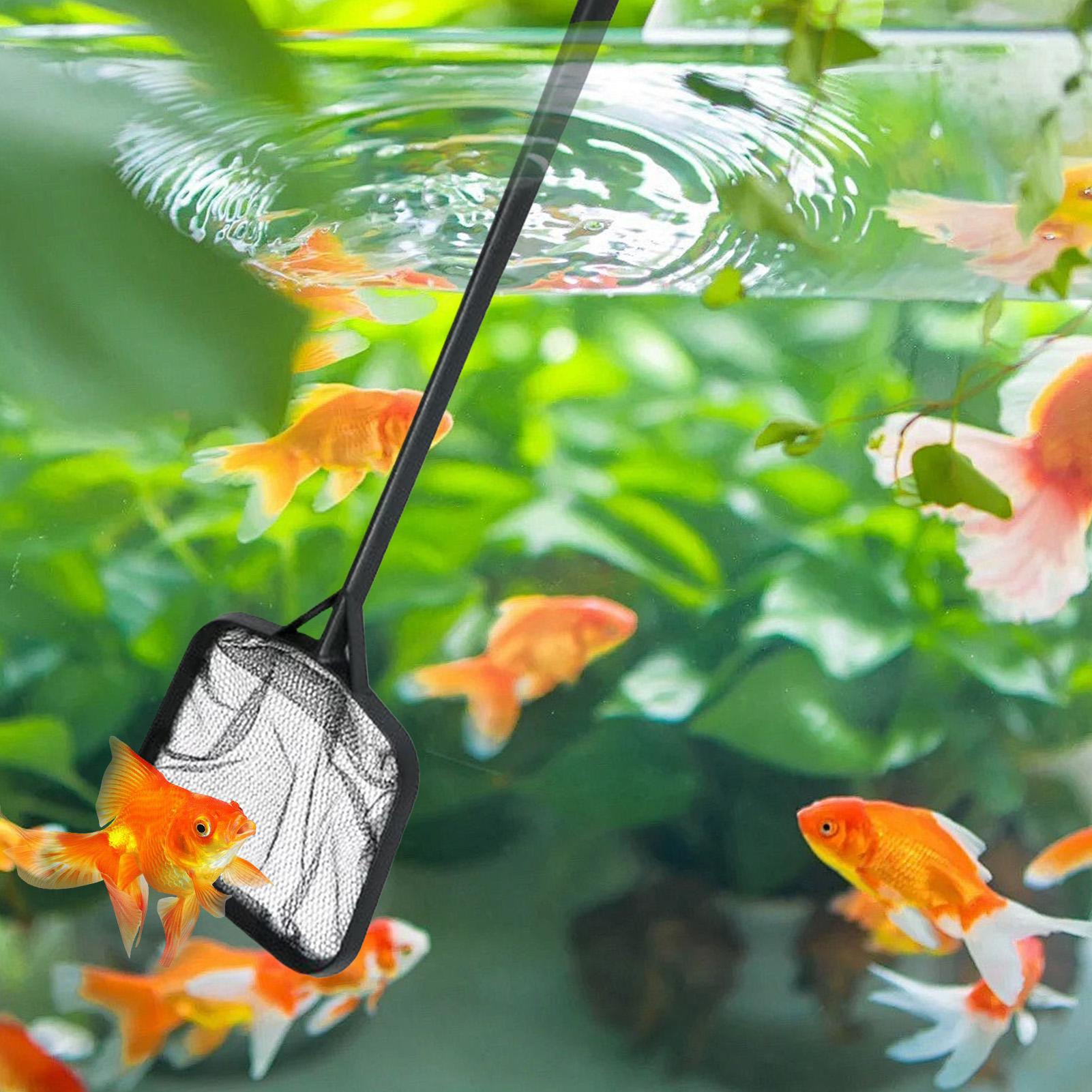 Redes para Limpeza de Piscinas - Aquarium Fish Real avaliação e preço