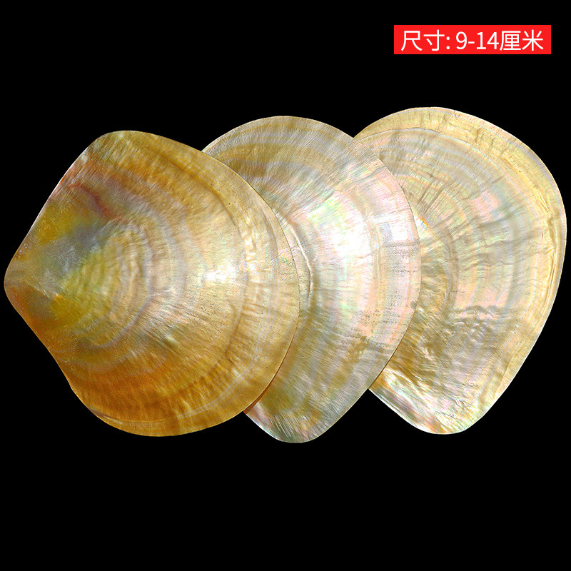 Coleção de Conchas Beibei Amar - Aquarium Fish Yellow avaliação e preço