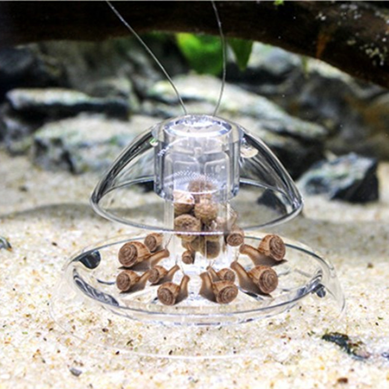 Caracol Armadilha Plástico Aqu - Aquarium Fish Eggs avaliação e preço