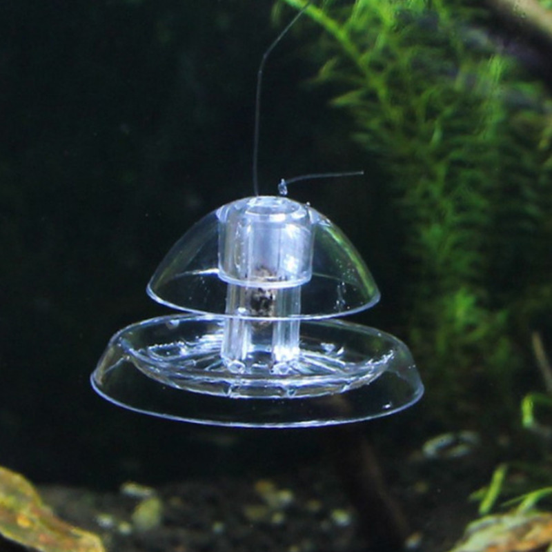Caracol Armadilha Plástico Aqu - Aquarium Fish Eggs avaliação e preço