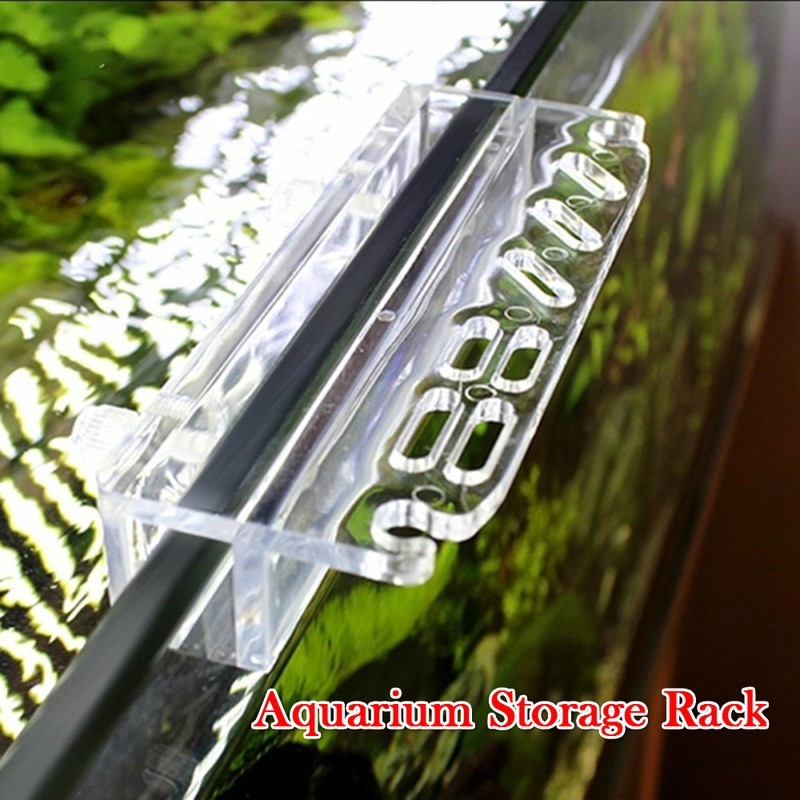 1 pçs novo aquário planta ferr - Aquarium Fish Real avaliação e preço