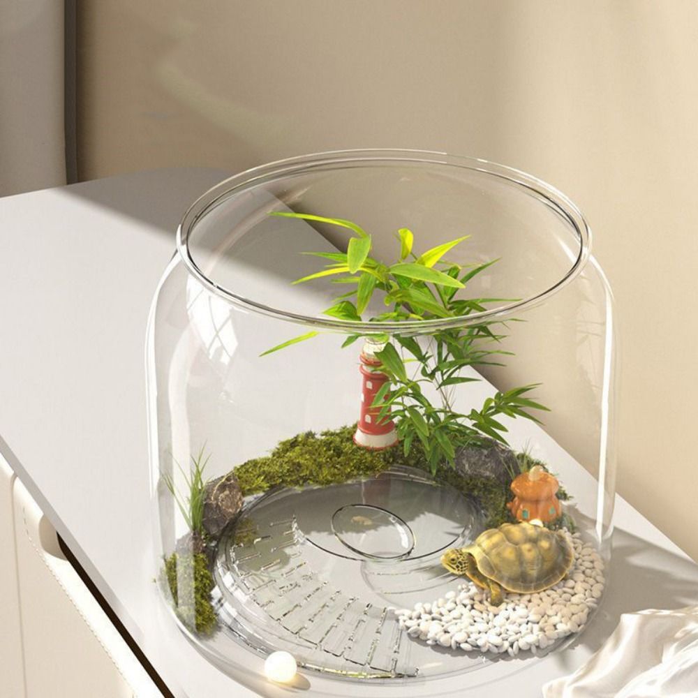Aquário Redondo Transparente A - Aquarium Fish Live avaliação e preço