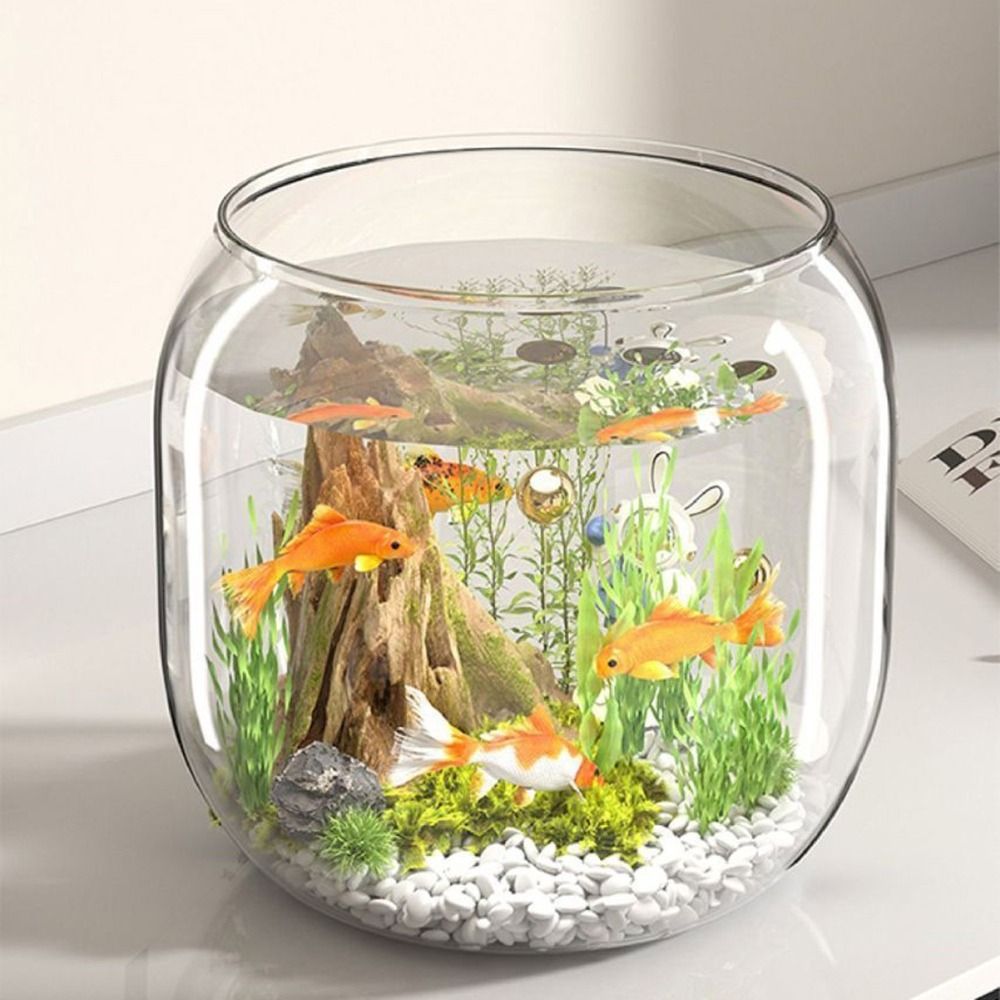 Aquário Redondo Transparente A - Aquarium Fish Live avaliação e preço