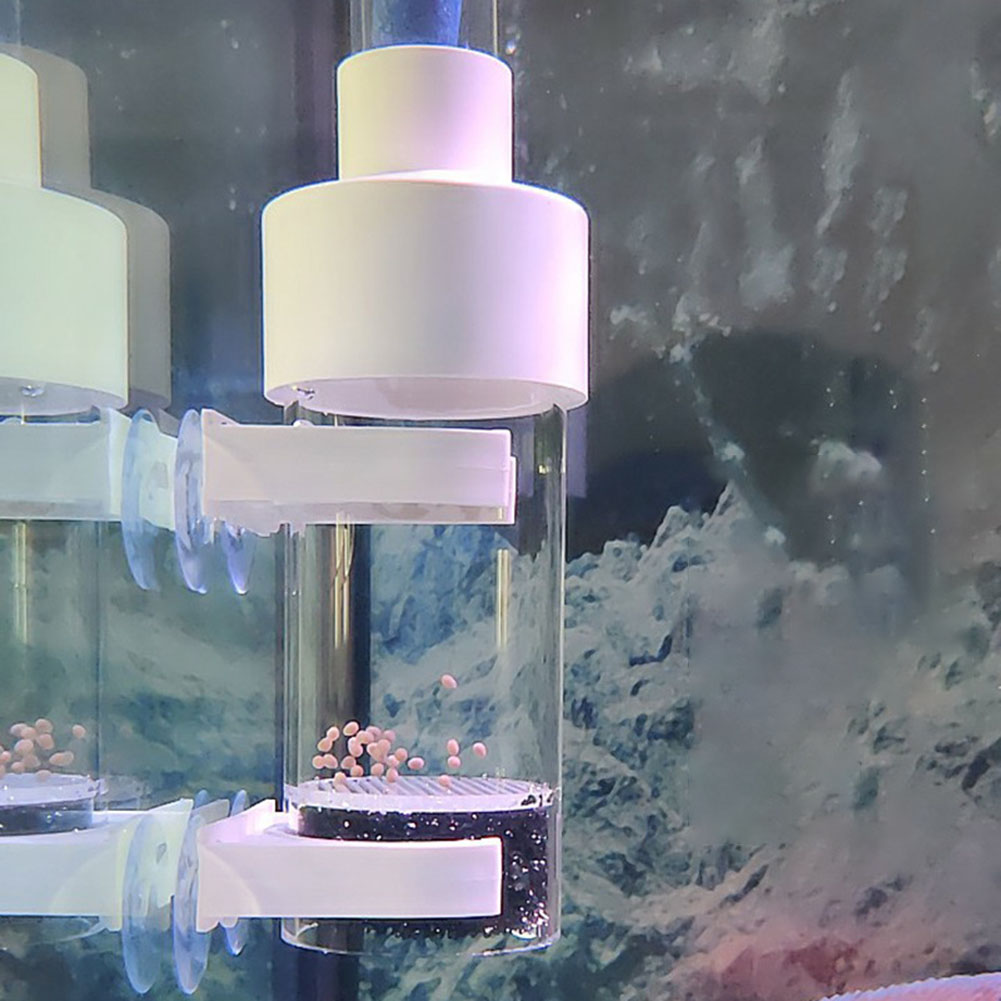 40mm incubadora incubadora de  - Aquarium Fish Eggs avaliação e preço