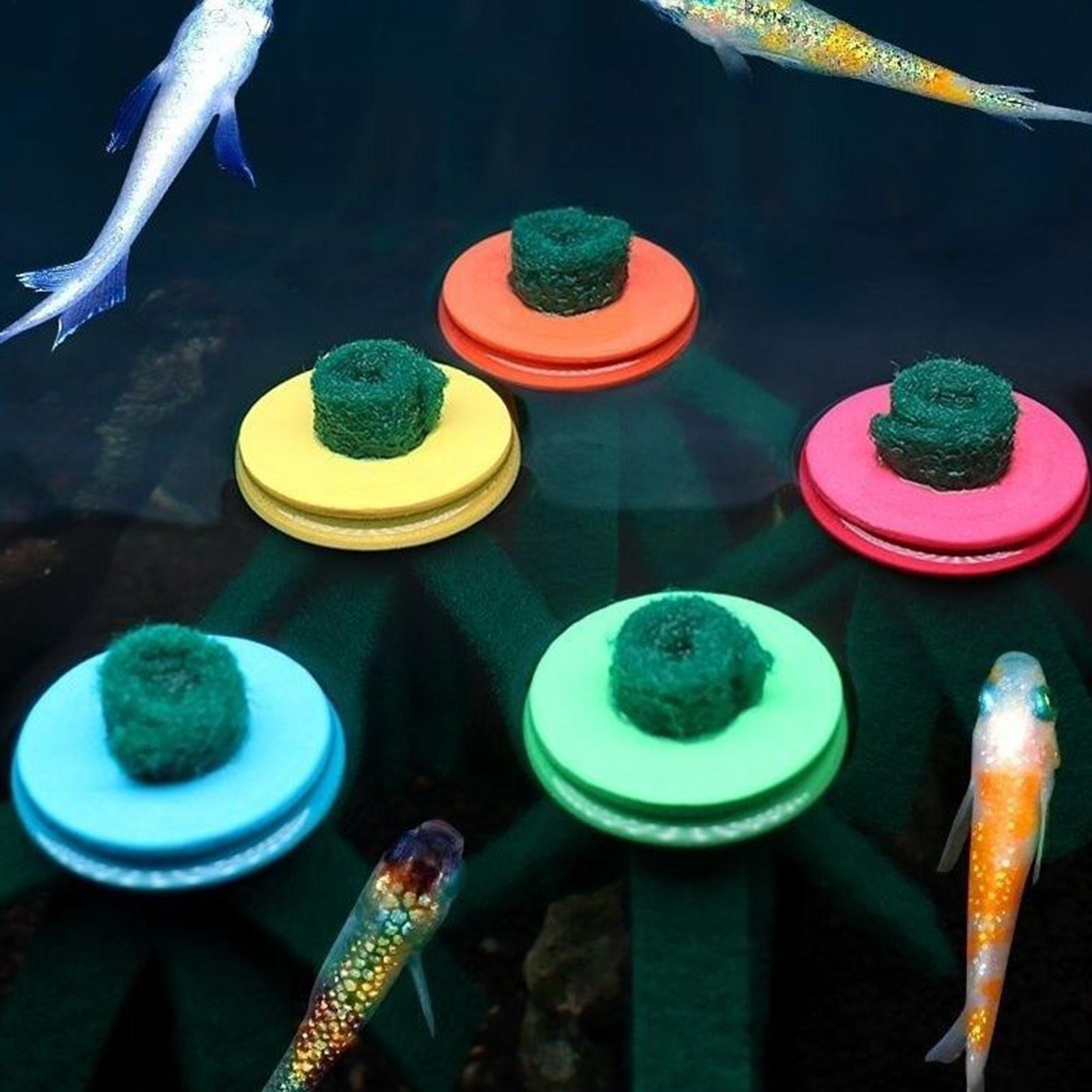 10 Peças Mop Decorativo para A - Aquarium Fish Eggs avaliação e preço