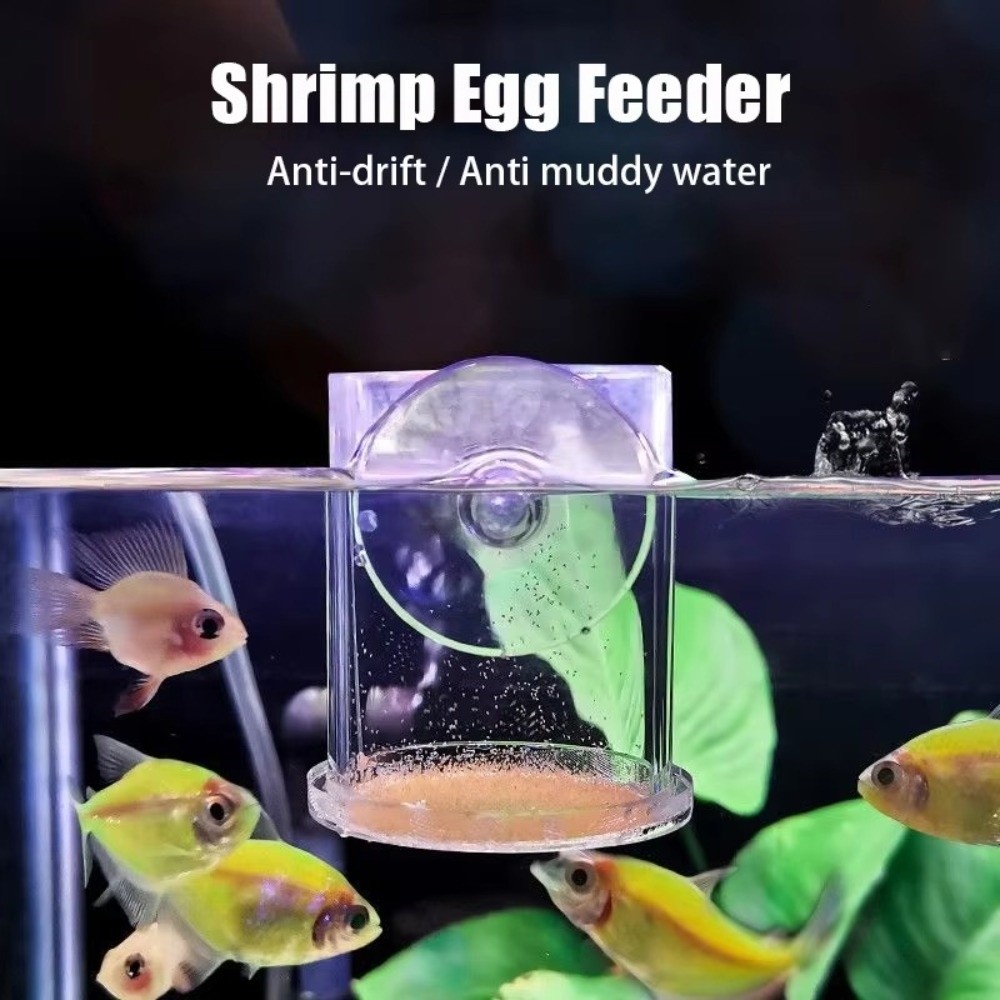 Alimentador de camarão de salm - Aquarium Fish Eggs avaliação e preço