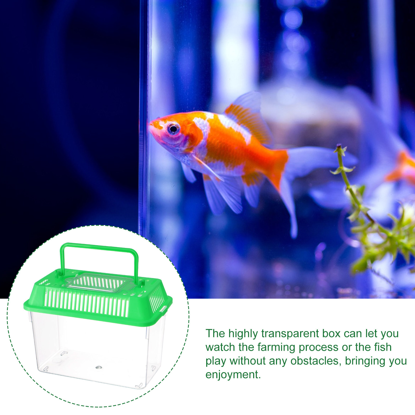 Aquário Mini Portátil de Plást - Aquarium Fish Green avaliação e preço