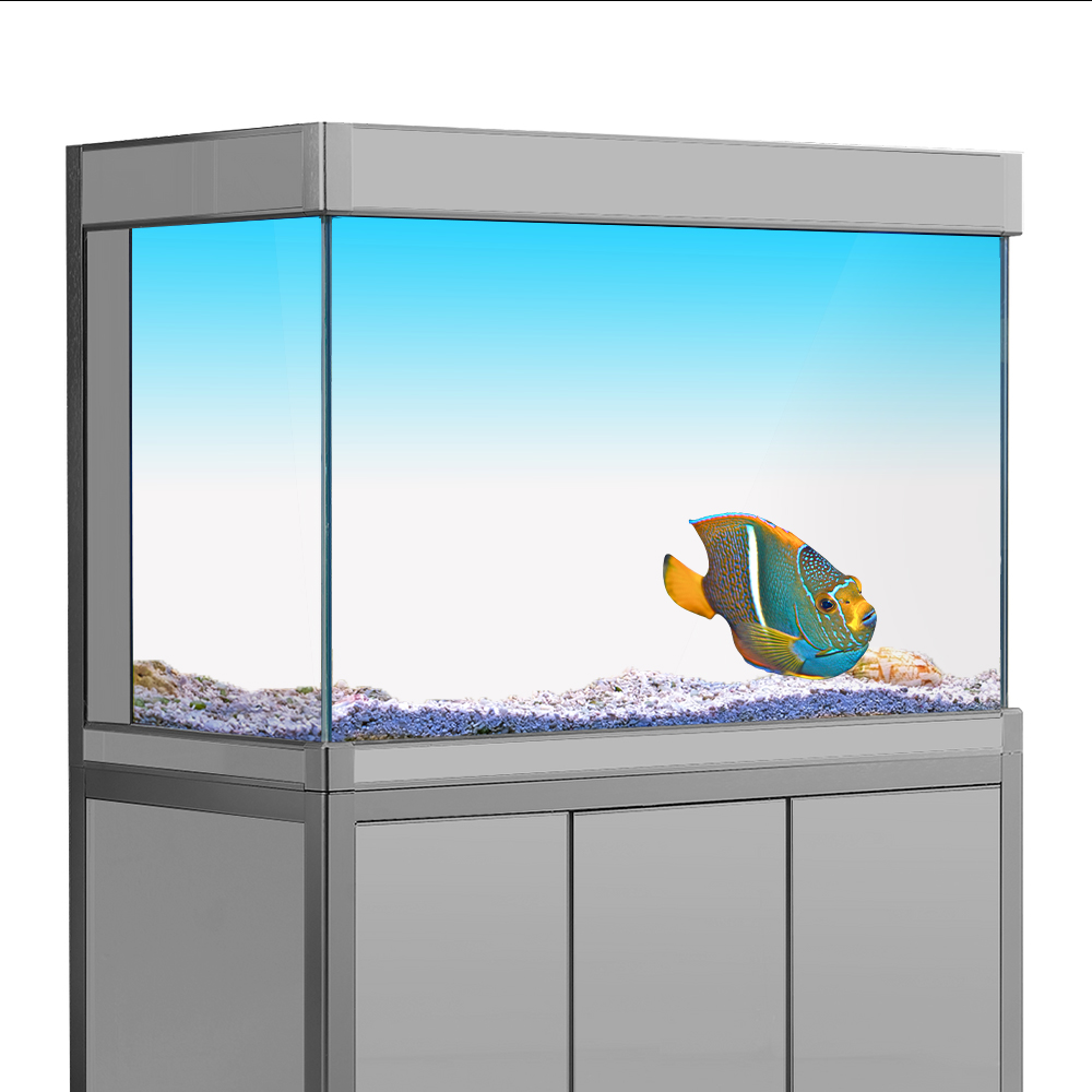 Adesivo de fundo para tanque d - Aquarium Fish Yellow avaliação e preço