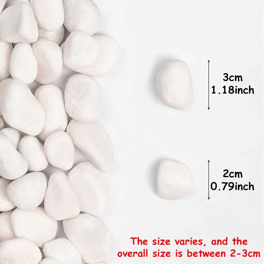 200/400g branco alto polido se - Aquarium Fish Buy avaliação e preço