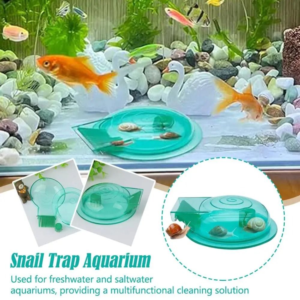 Armadilha para Caracóis de Aqu - Aquarium Fish Eggs avaliação e preço