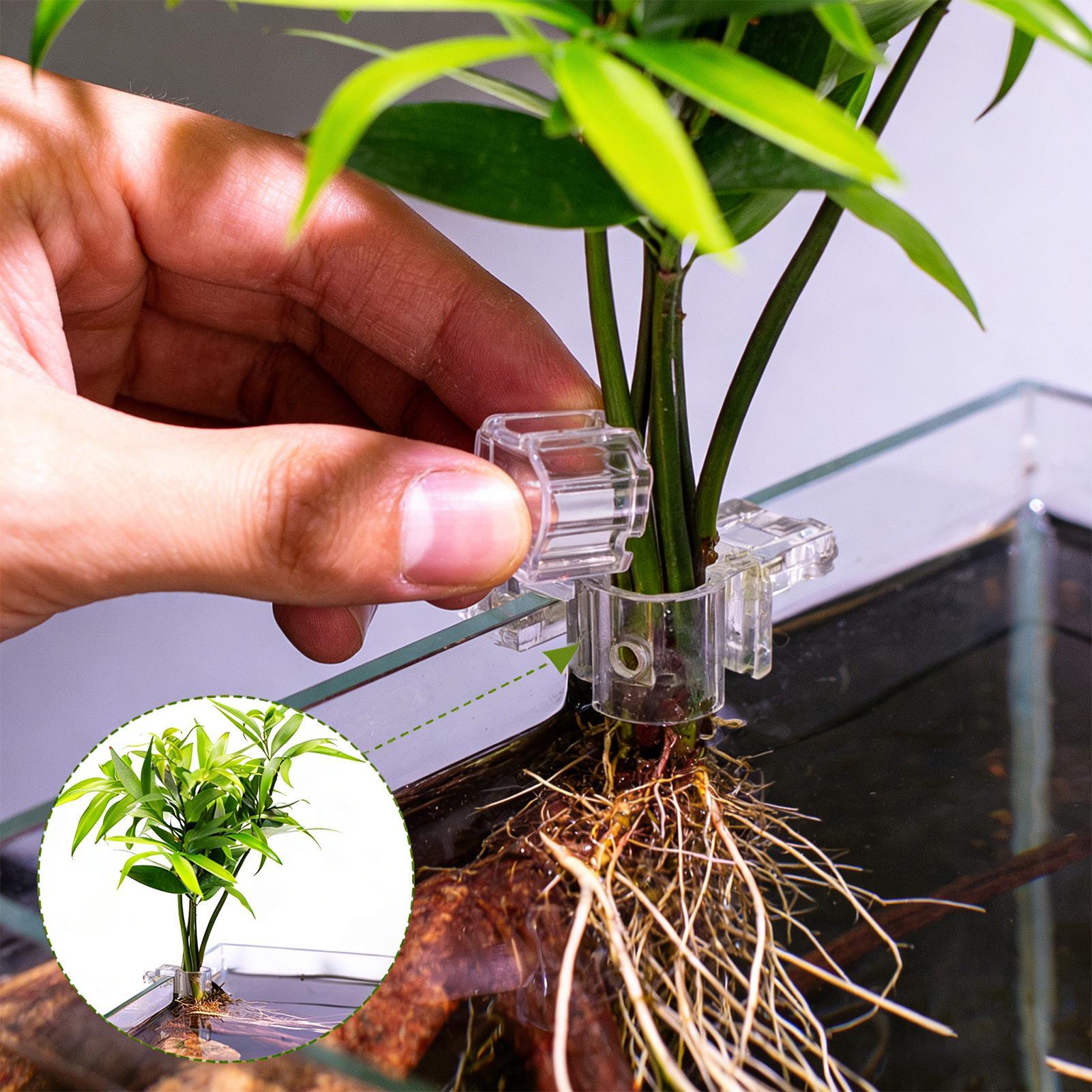 6 Peças Suporte para Plantas d - Aquarium Fish Elevator avaliação e preço