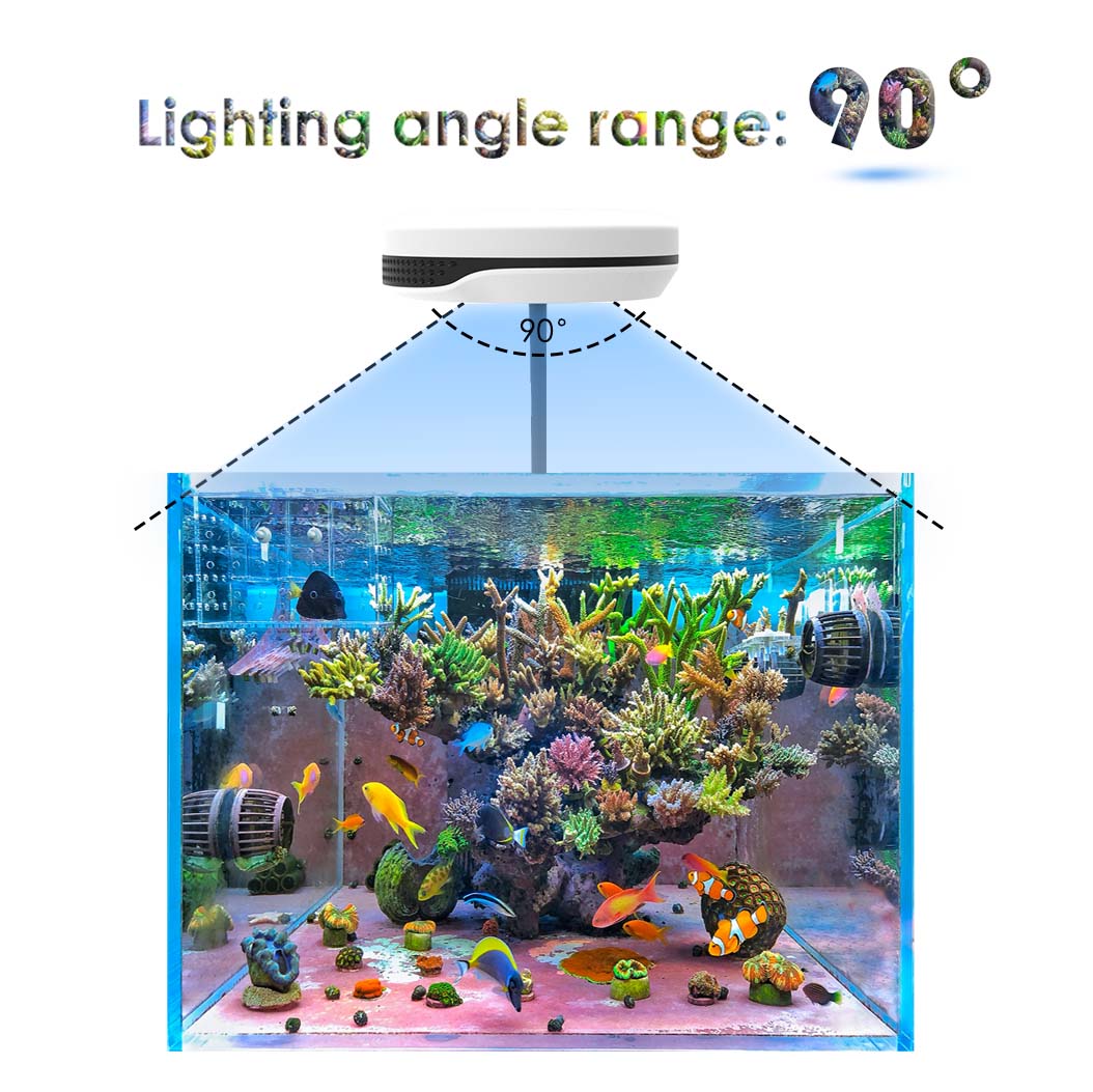 20w espectro sp20 Ac110-240V r - Refugium Light Nano avaliação e preço