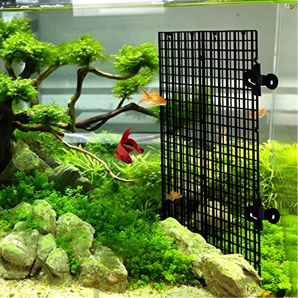 14 peças de Rede de Plástico P - Aquarium Fish Elevator avaliação e preço