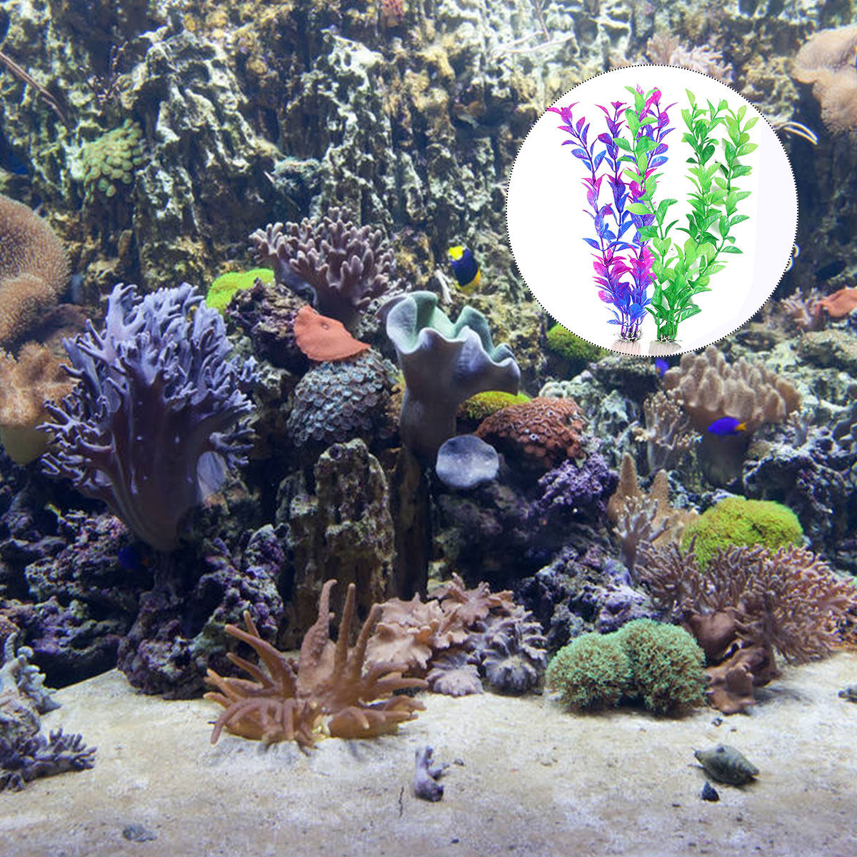 Conjunto de 10 Plantas Aquátic - Aquarium Fish Green avaliação e preço
