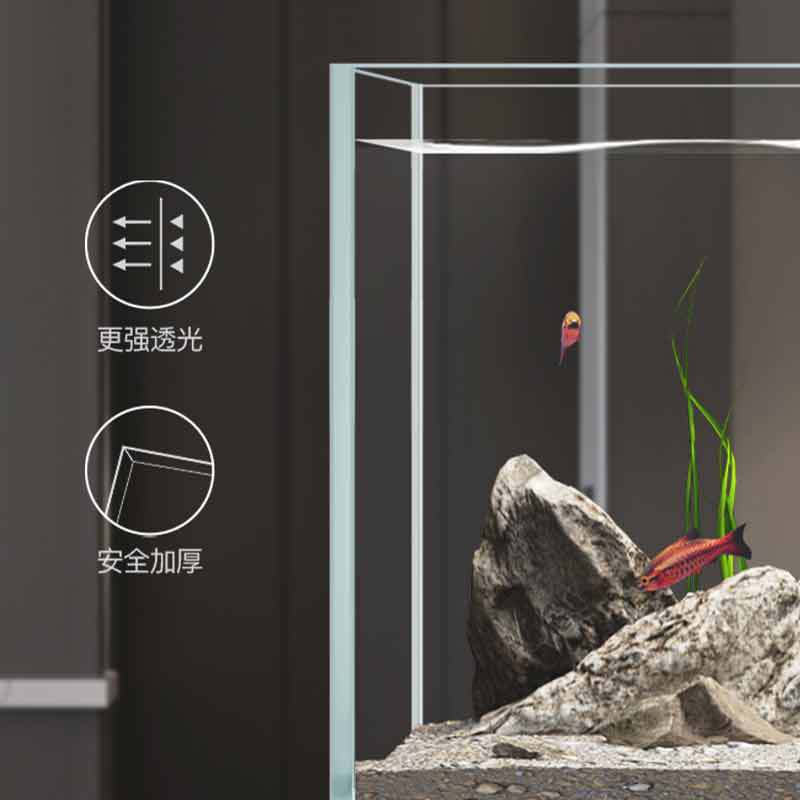 Aquário Minjiang para paisagis - Aquarium Fish Live avaliação e preço