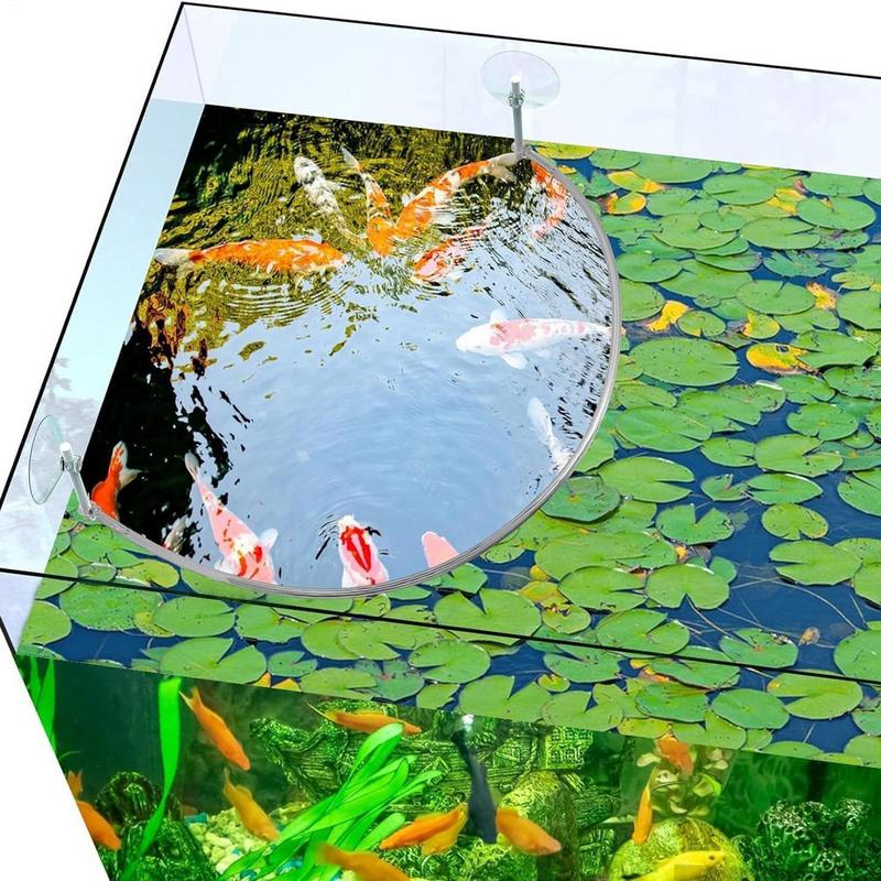 Anel de alimentação de peixes  - Aquael Filter Fzn avaliação e preço