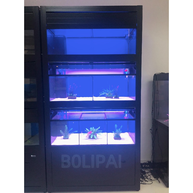 Sistema de Suporte Personaliza - Aquarium Fish Glass avaliação e preço