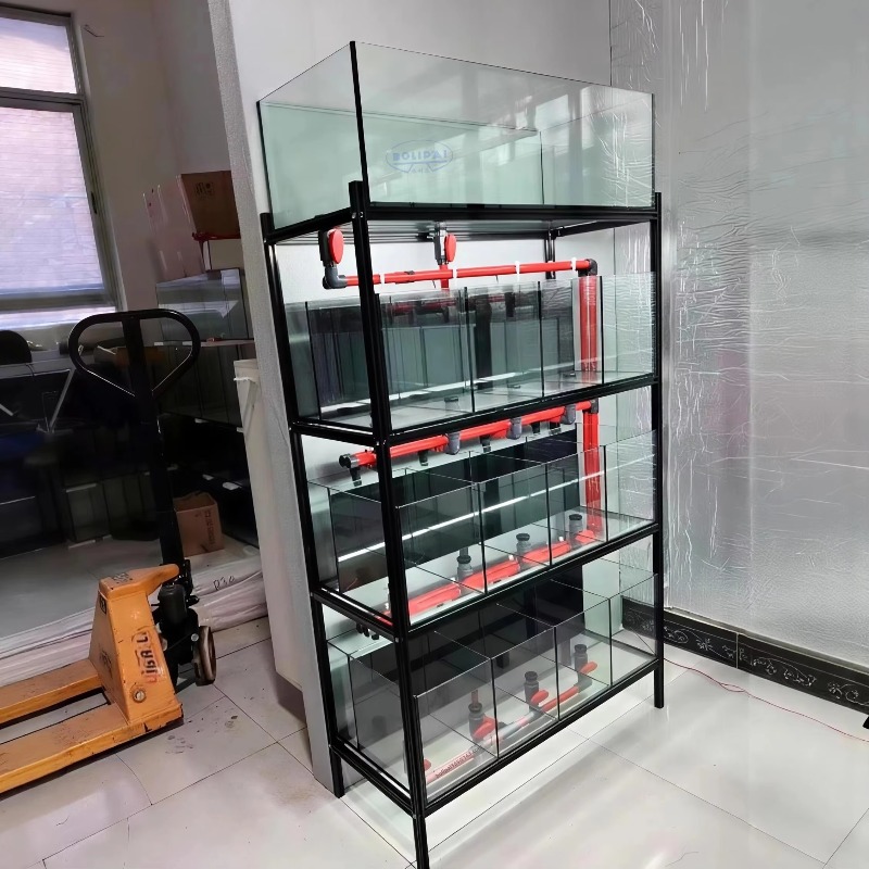 Sistema de Suporte Personaliza - Aquarium Fish Glass avaliação e preço