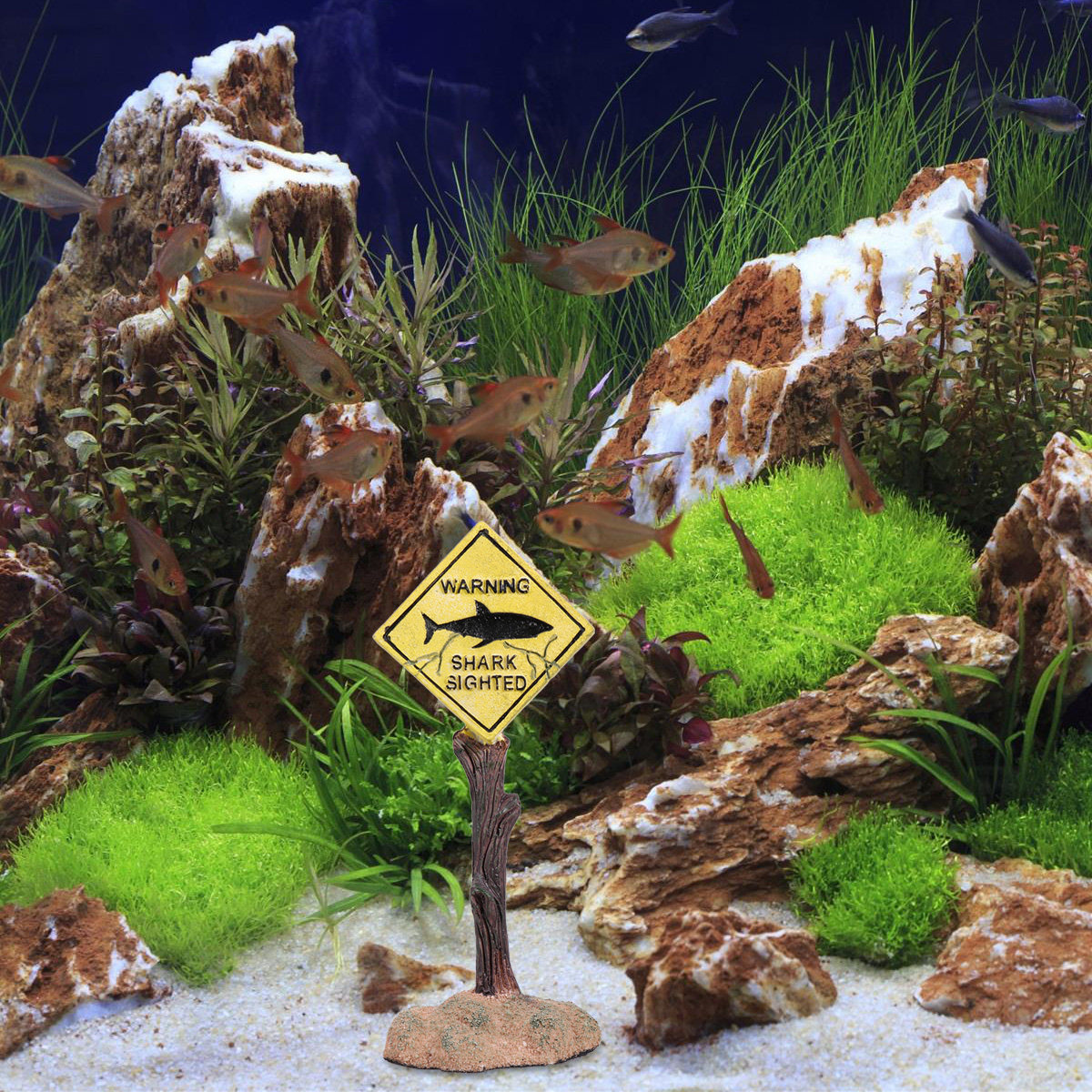 Placa de Aviso de Resina para  - Aquarium Fish Yellow avaliação e preço