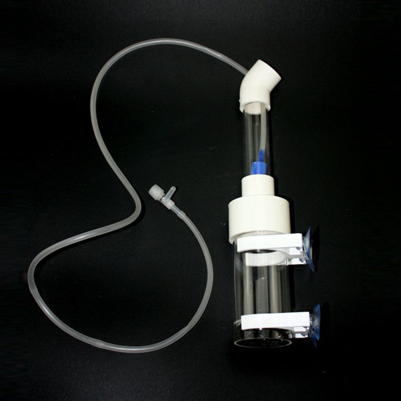 Incubadora de Ovos para Cíclid - Aquarium Fish Eggs avaliação e preço
