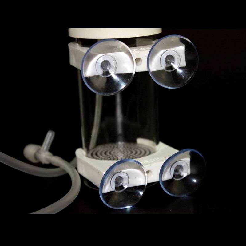 Incubadora de Ovos para Cíclid - Aquarium Fish Eggs avaliação e preço