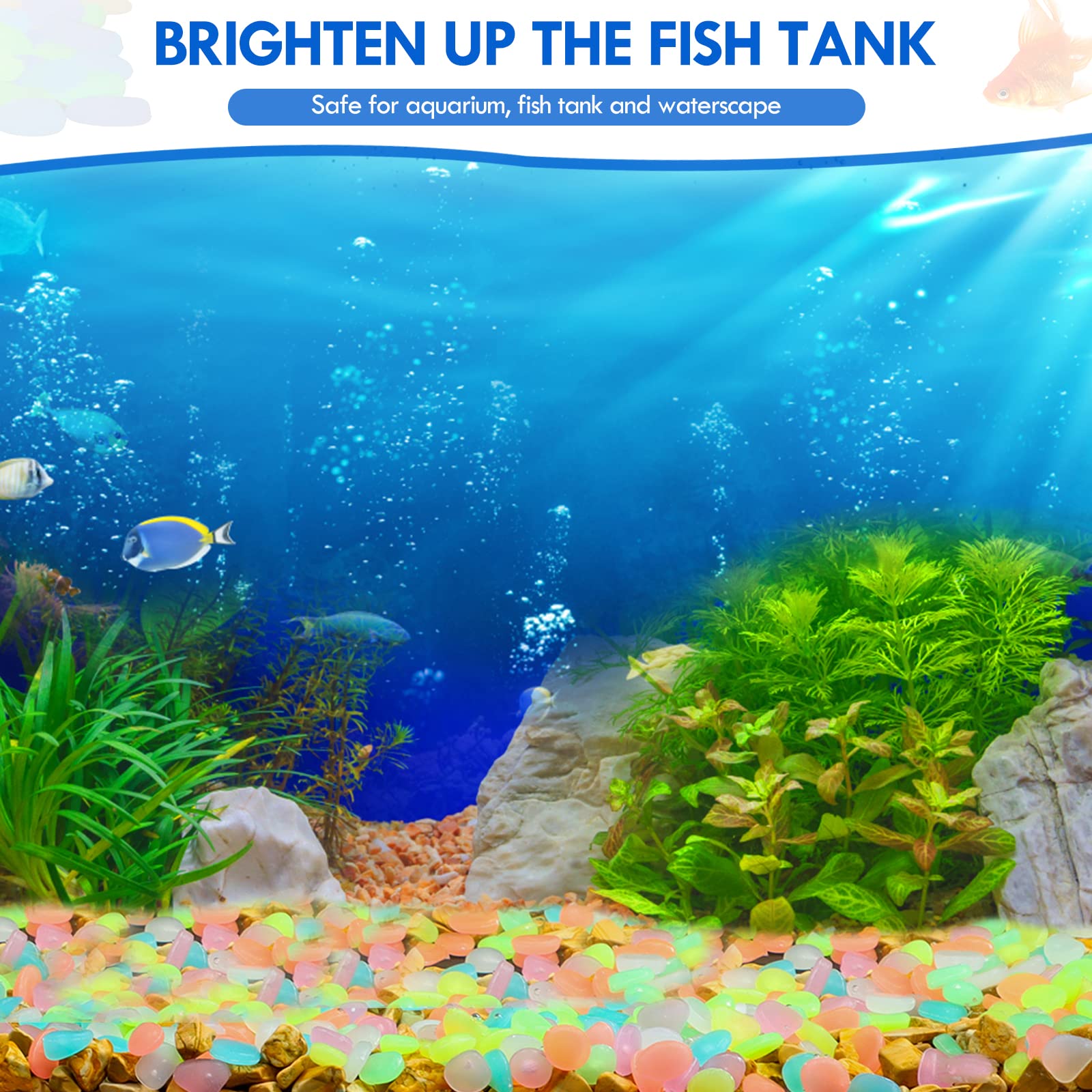100 pçs brilham no escuro jard - Aquarium Fish Glow In The Dark avaliação e preço