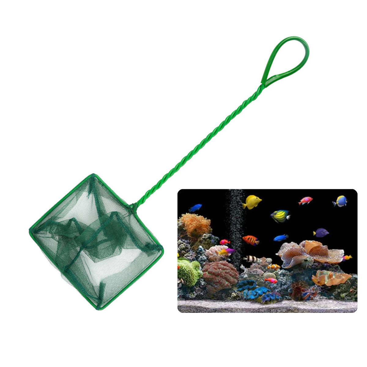 3 ~ 10 Polegada portátil náilo - Aquarium Fish Green avaliação e preço