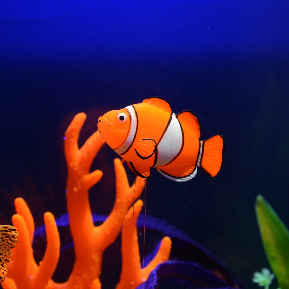 Decoração de Aquário de Silico - Aquarium Fish Glow In The Dark avaliação e preço