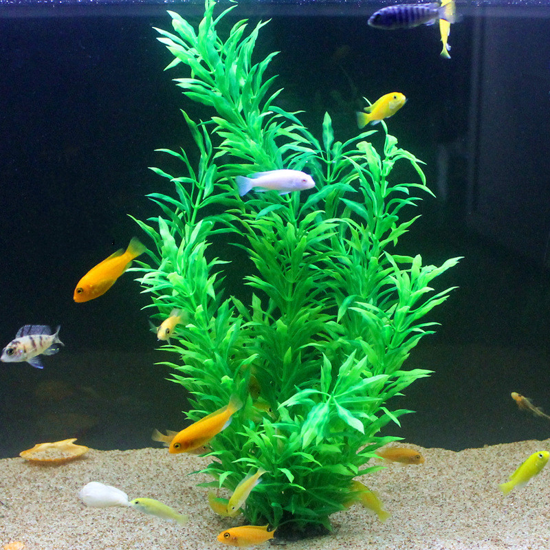 Plantas Artificiais Raras para - Aquarium Fish Buy avaliação e preço