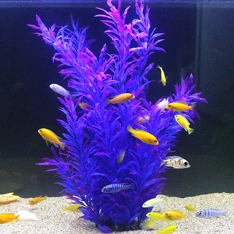 Plantas Artificiais Raras para - Aquarium Fish Buy avaliação e preço