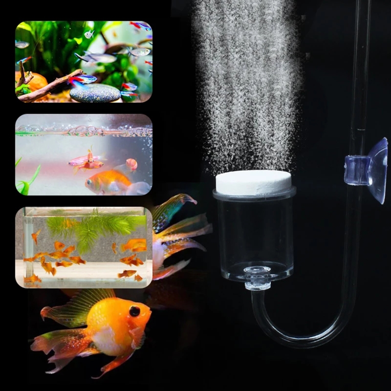 CO2 Difusor para Aquário, DIY  - Aquarium Fish Live avaliação e preço