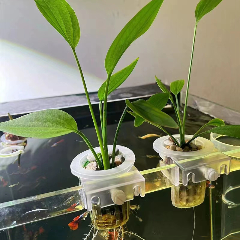 Cesta de plantio de aquário, s - Aquarium Fish Elevator avaliação e preço