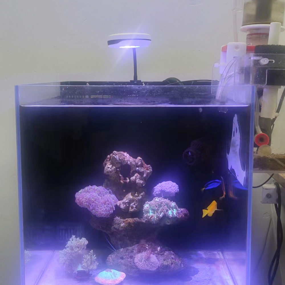Luz LED de Aquário de 20W com  - Refugium Light Nano avaliação e preço